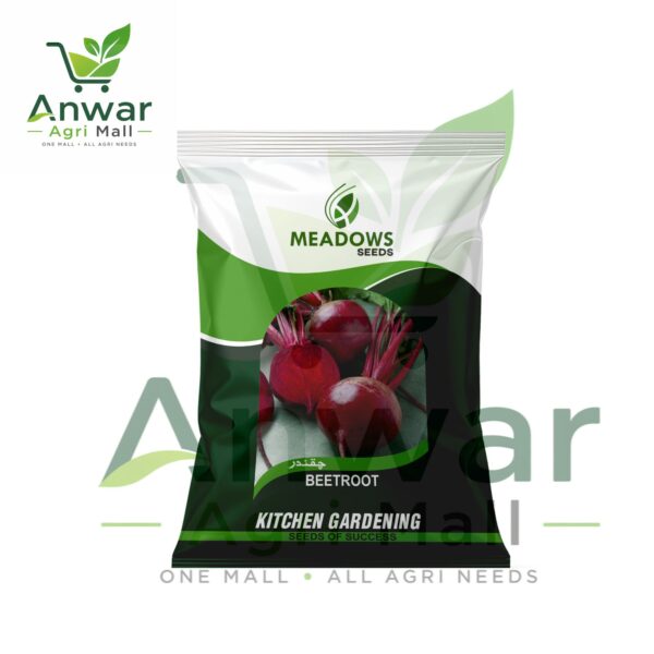 Beet Root