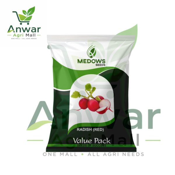 Radish (RED)