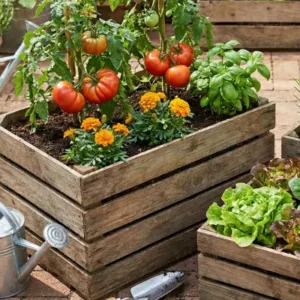 Kitchen Gardening