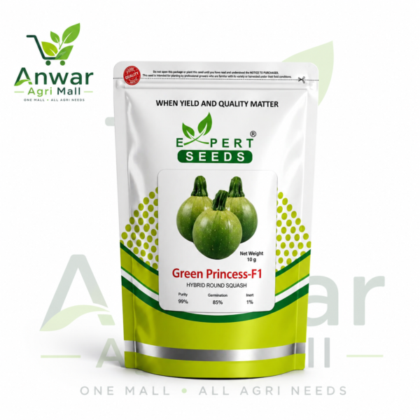 HYBRID ROUND SQUASH ( Green Princess-F1 )