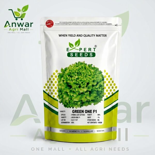 HYBRID LEAF LETTUCE ( GREEN ONE F1 )