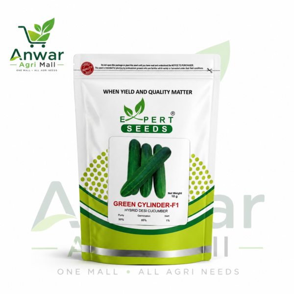 HYBRID DESI CUCUMBER ( GREEN CYLINDER-F1 )