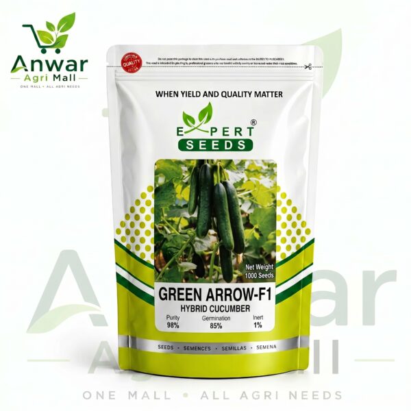 HYBRID CUCUMBER ( GREEN ARROW-F1 )